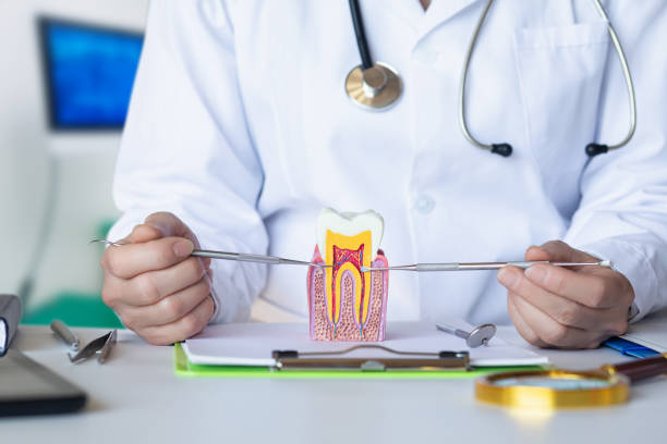 Best After-Hours Dental Care in Nellis Af, NV
